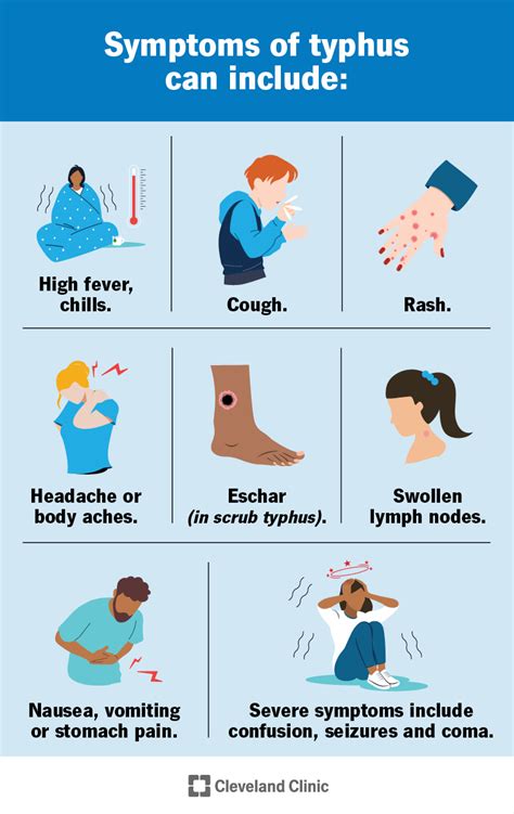 9 Essential Signs Indicating Your Typhus Condition Is Improving