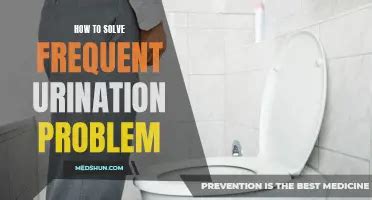 9 Essential Tips to Combat Frequent Urination Effectively