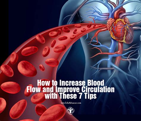 9 Expert Tips to Promote Effective Blood Circulation Instantly
