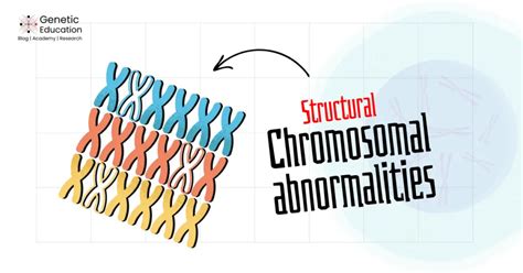 9 Exploring Chromosomal Abnormalities: Types and Causes Explained