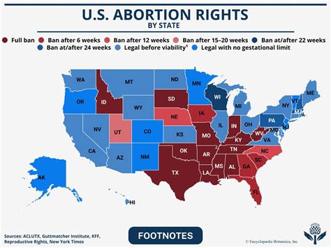 The Perilous Consequences of a Nine-Month Abortion: A Deep Dive into the Ethical and Legal Implications