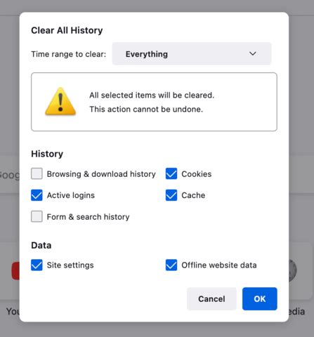 9. Clear Website Data