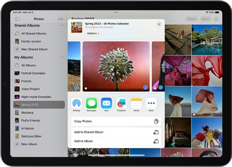 9. Modified sharing options