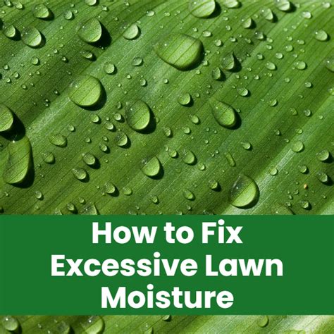 9. Not making an effort to fix sources of excessive moisture