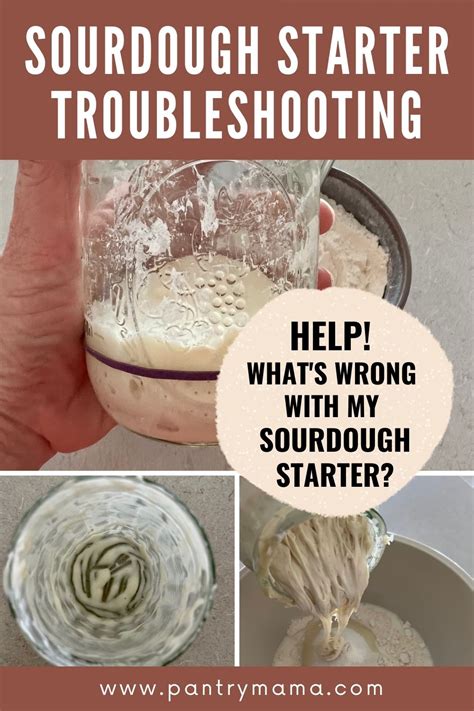 9. Troubleshooting Common Sourdough Starter Problems