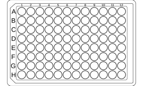 96 Well Plate Template
