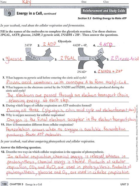 9th Grade Biology Worksheets