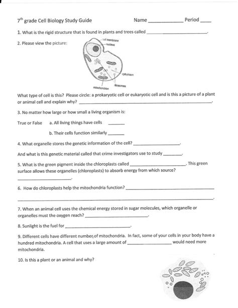 9th Grade Science Worksheets