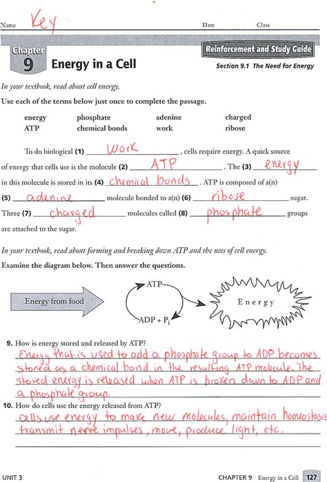 Discover the Wonders of Science: Unlock Your Potential With 9th Grade Science Worksheets and Answer Keys!