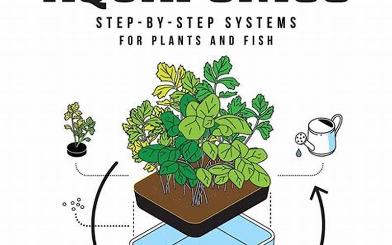 A Beginner'S Guide To Aquaponics System