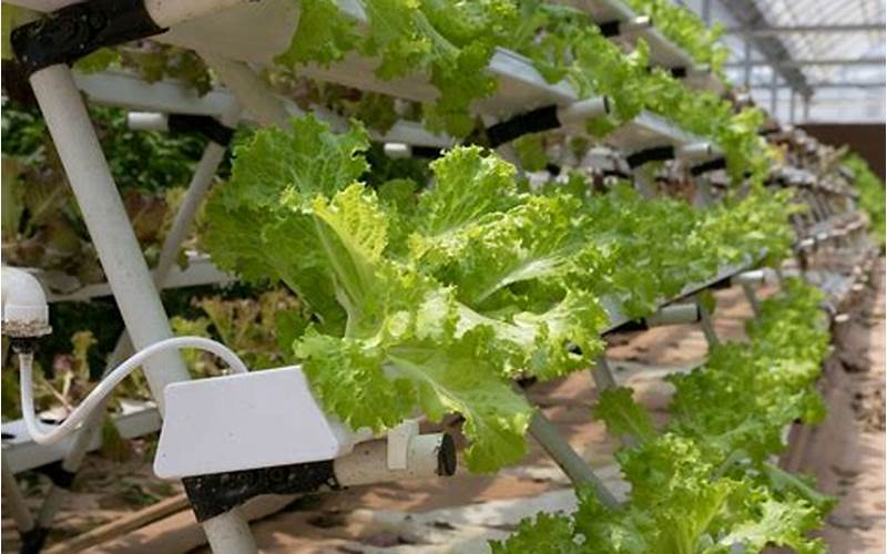 a disadvantage of a hydroponic growing system is that