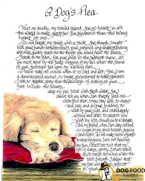 A Dog's Plea Poem Printable