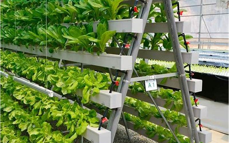a frame hydroponic systems