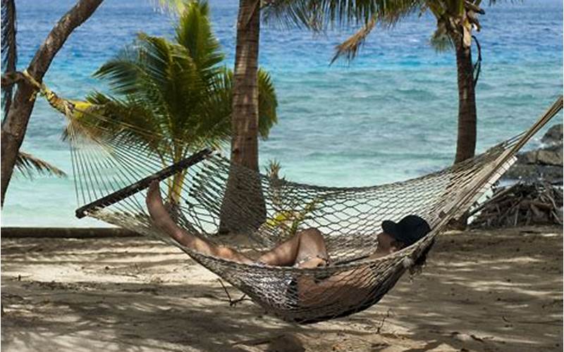 A Person Lounging In A Hammock