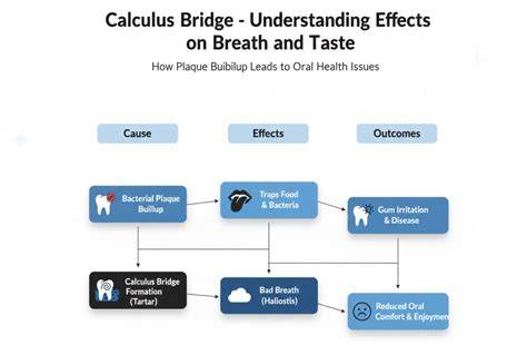 A Bridge of Understanding