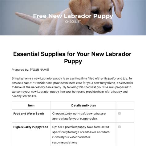 A Checklist for Labrador Owners