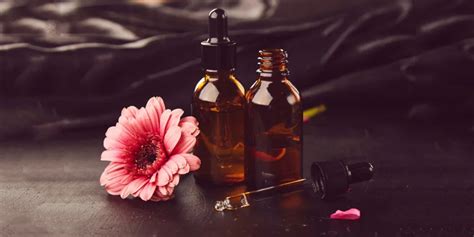 A Closer Look at the Key Ingredients