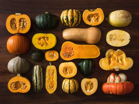 A Deep Dive into Native American Squash Varieties