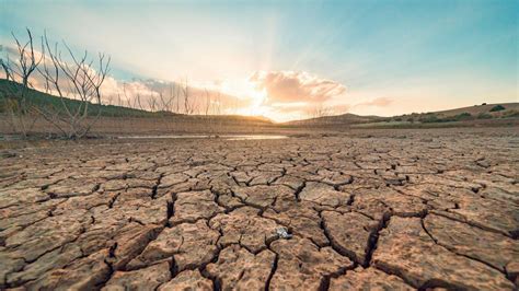 Image of a drought-stricken field
