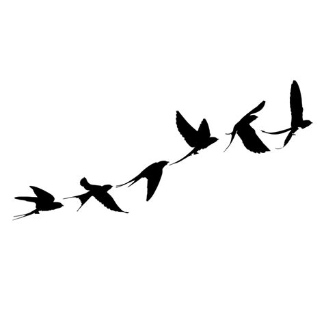 Download A Flock of Swallow Birds Flying in... SVG File - SVG Design Cricut SVG Free PSD Mockups