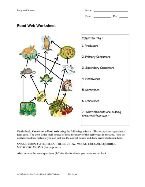 A Food Web Worksheet Answer Key
