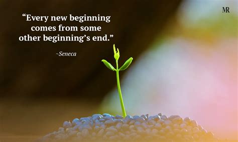 A Fresh Start A New Beginning