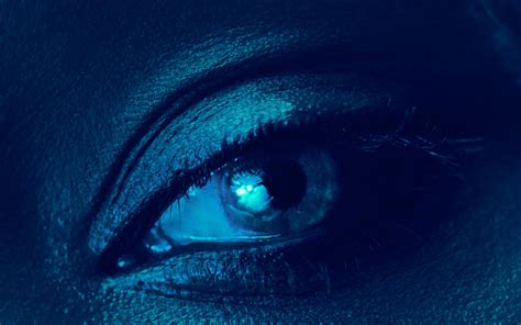 A Full Spectrum of Vision Services