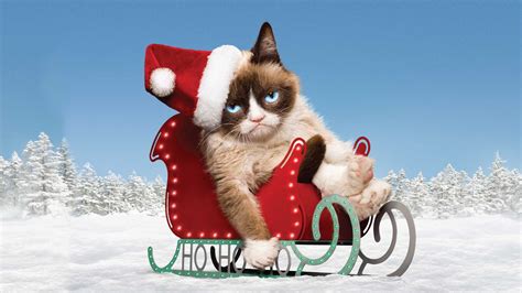 A Grumpy Cat Christmas