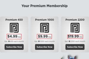 A Guide to Providing Benefits to Roblox Premium Members for your 