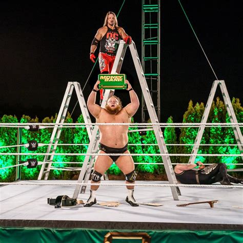 A Ladder Match Extravaganza