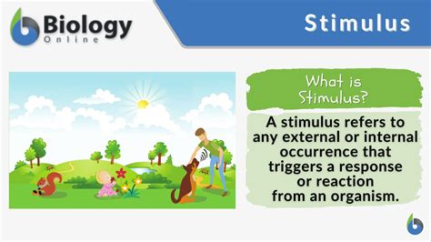 A Releasing Stimulus Is