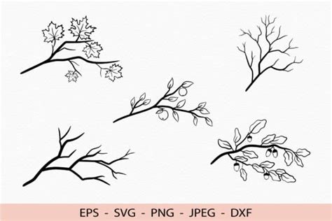 Download A Tree Branch with Leaves and a... SVG File - SVG Design Creativefabrica For Crafts