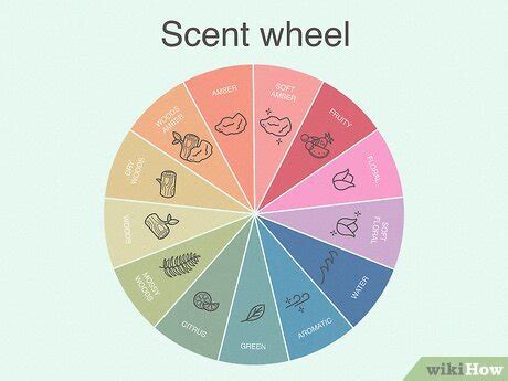A World of Colors and Scents: Exploring Different Types