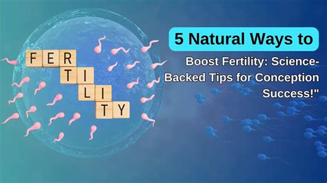 AI: Boost Fertility, Maximize Conception Success.