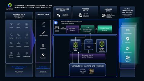Reviewing AI platform security and data privacy