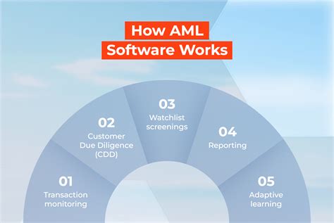 AML Software and the Role of Government Regulation