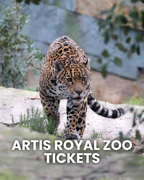 ARTIS Amsterdam tickets