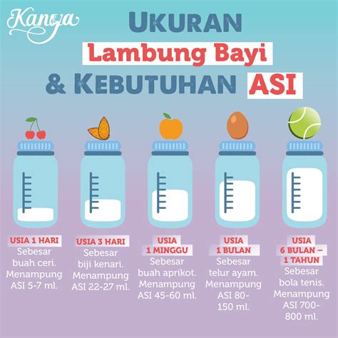 Makanan Bantu untuk Mengurangkan Masalah Cirit Birit pada Bayi