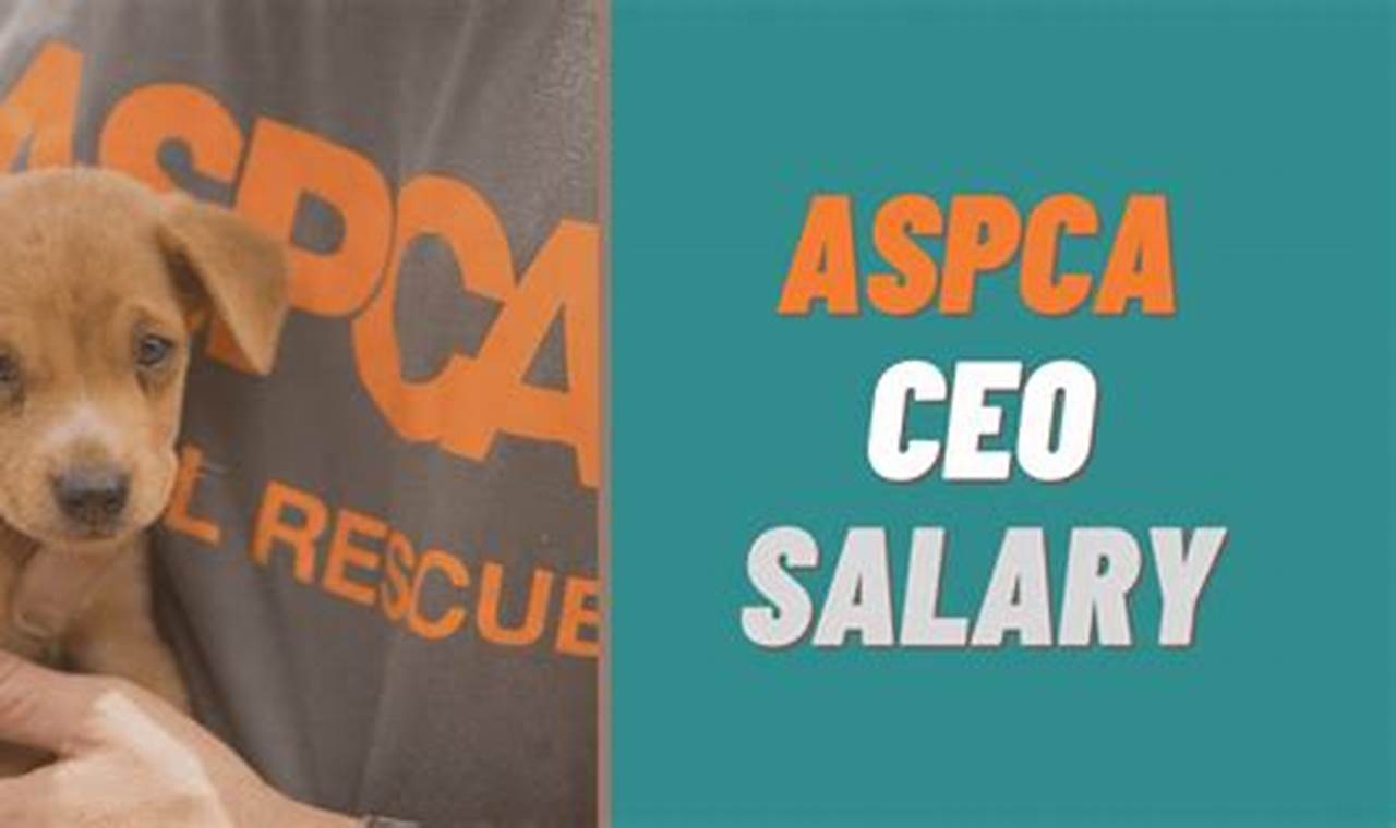 ASPCA CEO salary for 2023