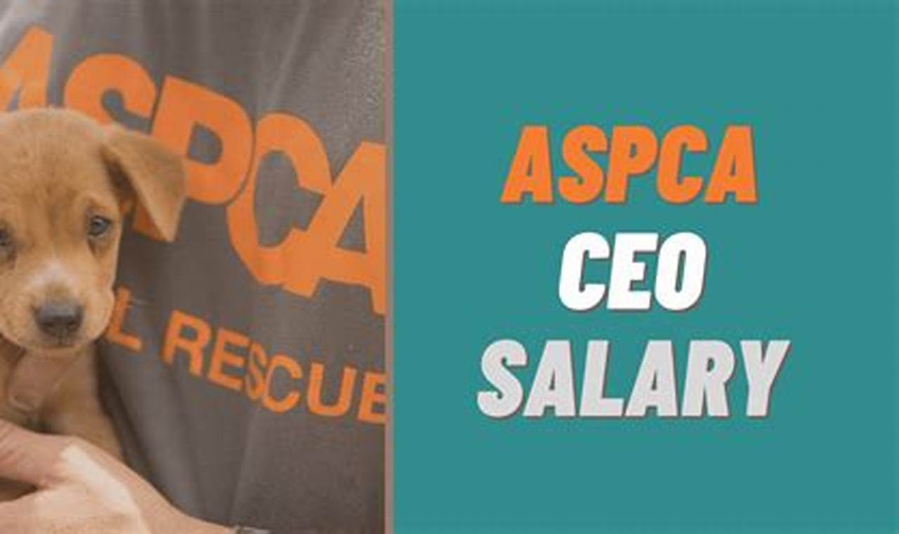 ASPCA executive salaries