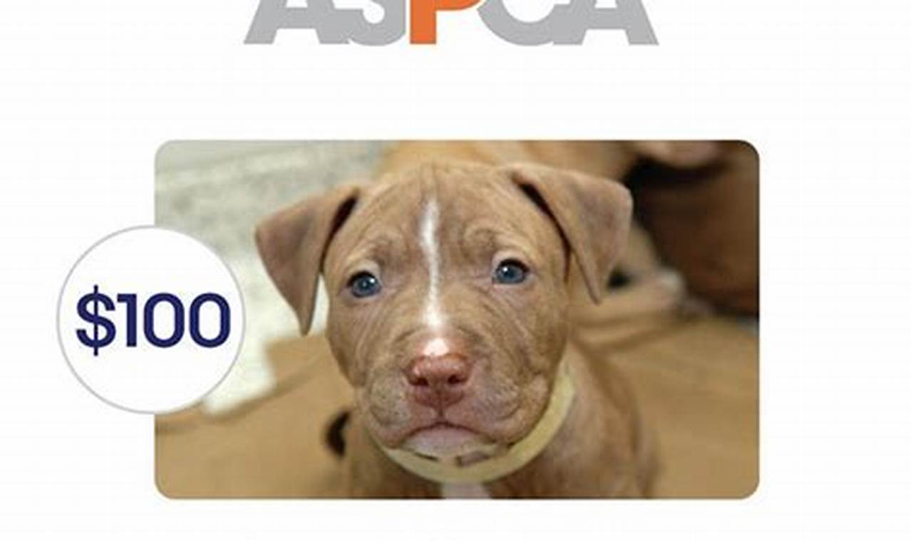 ASPCA where does the money go