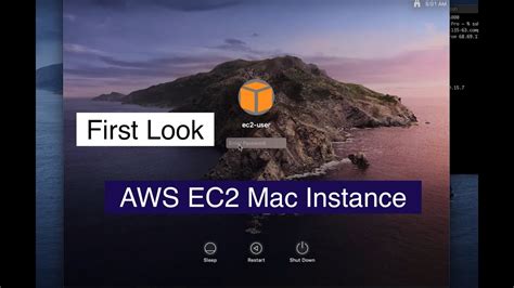 AWS macOS instances