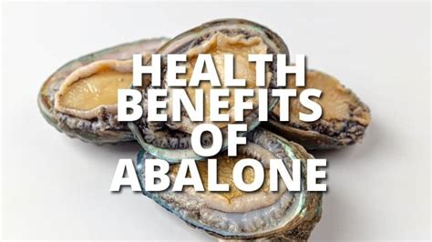 Abalone: Benefits, Processing & Expert Tips 