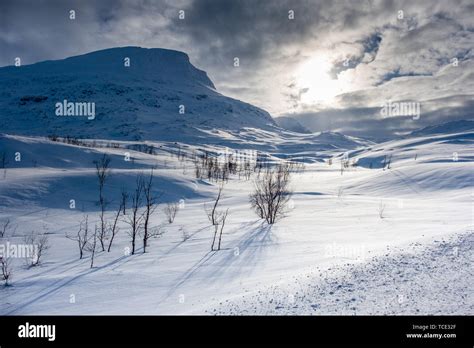 Abisko Winter Landscape