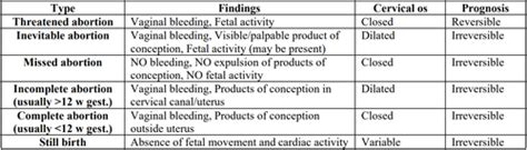 Abortion Types: Options & What to Expect.