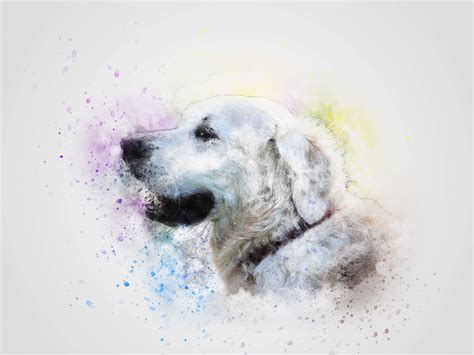 Abstract Dog Wallpapers