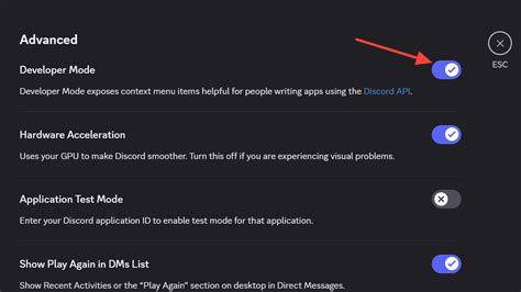 Access More Features with Discord Developer Mode