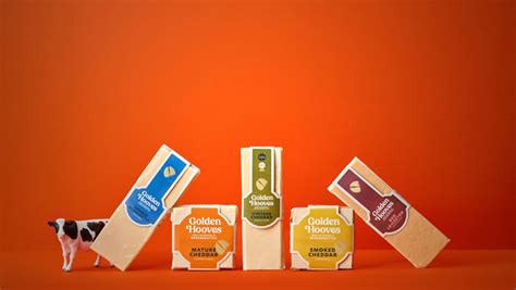 Accessibility Cheese Dairy