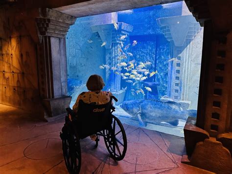 Accessible Aquarium