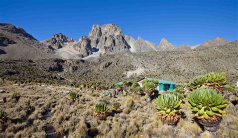 Acclimatization Mt Kenya